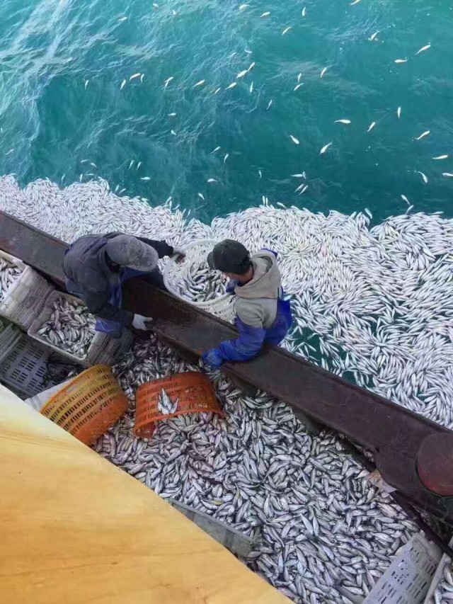 黄色网站。黄色软件视频