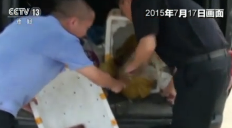 欧美多毛Xxxxx性喷潮百度