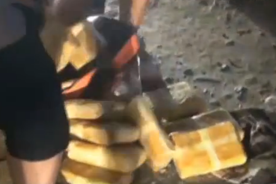 双龙入洞