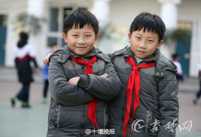 丰满少妇黄色毛片