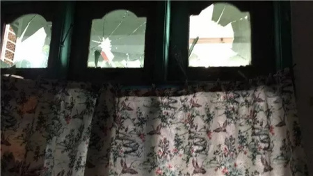 国产videos