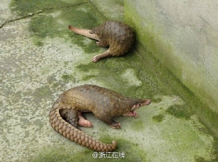 下载黄色网站全免费