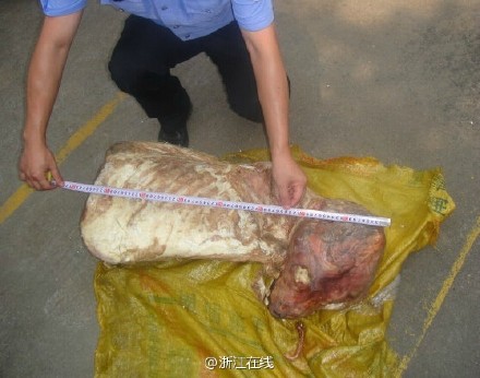 KTV把奶罩解开让客人摸
