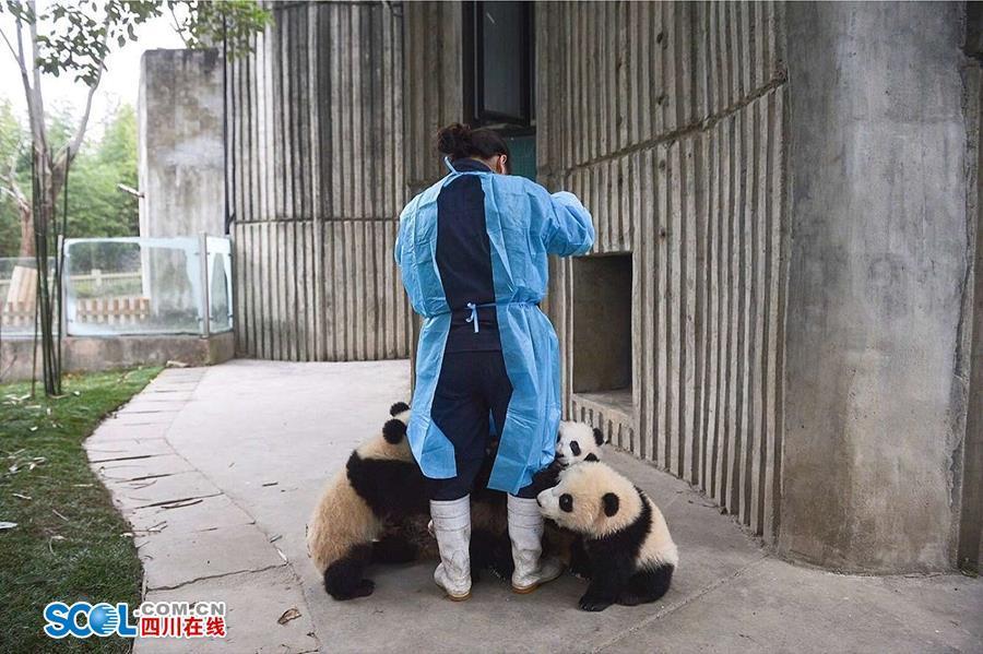 在线 成人 色情