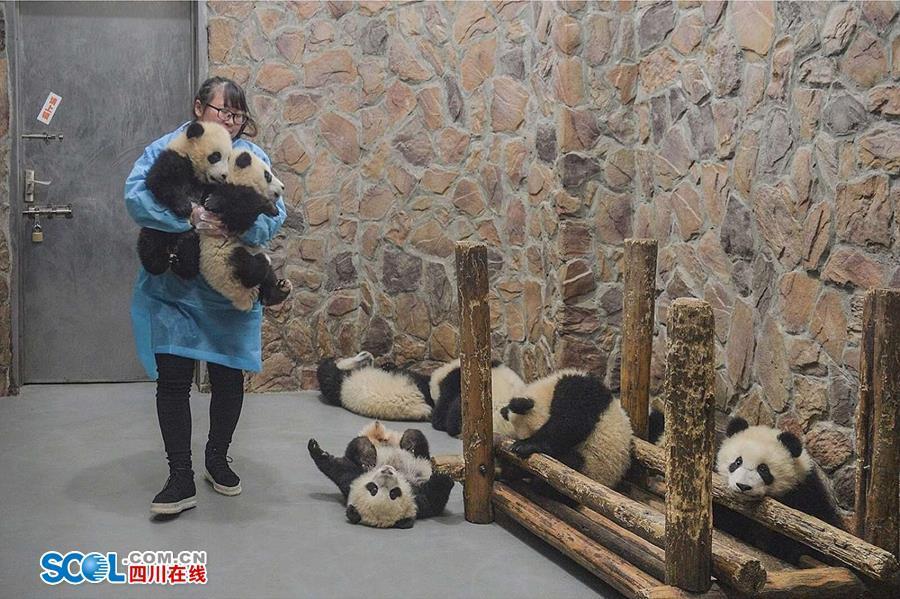 日本无人区码一码二码三码