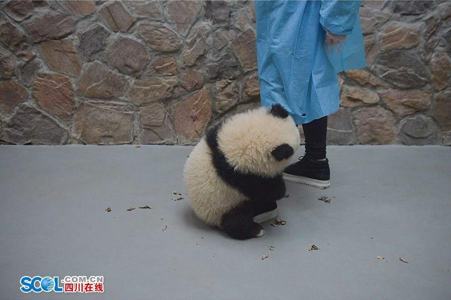 欧美性做爰又大又粗又长