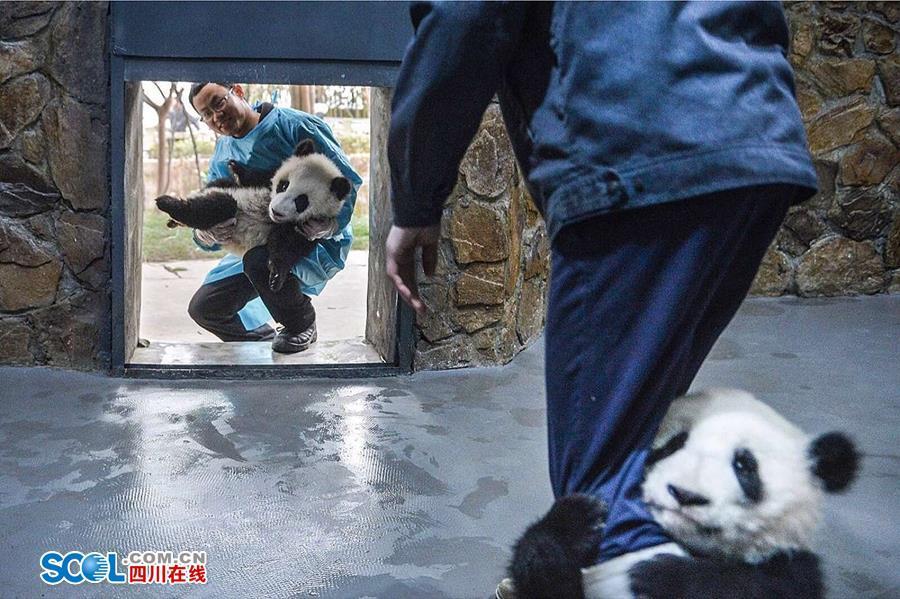 甘雨被 到爽 高潮痉挛动漫