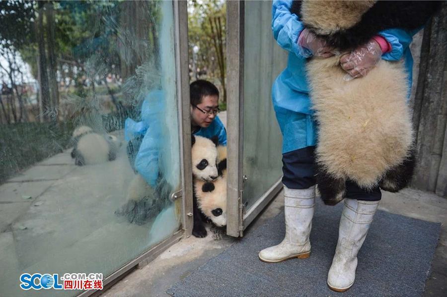 久久AV红桃秘 一区二区