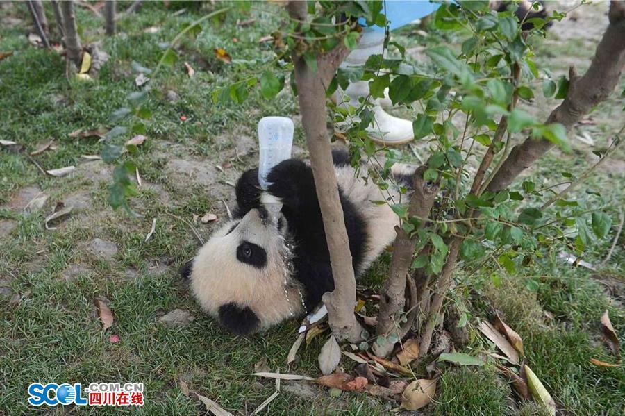 Xxxx性公交车上激情Xxxxx
