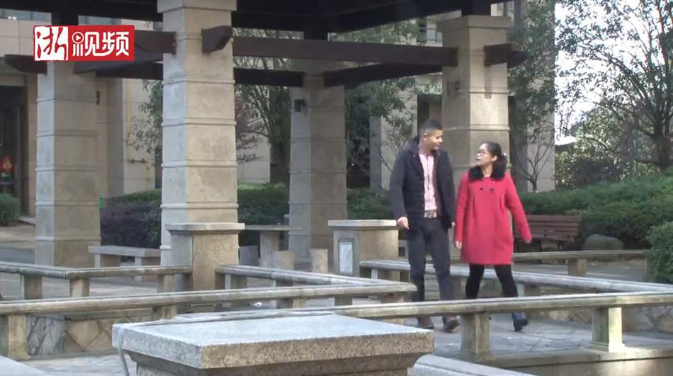 台灣小野貓