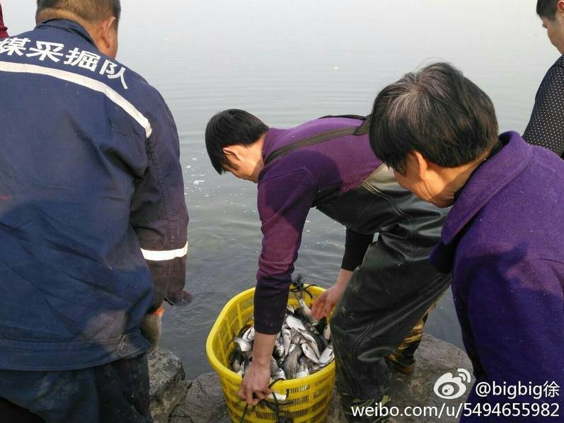 刘亦菲又大又黄又爽视频