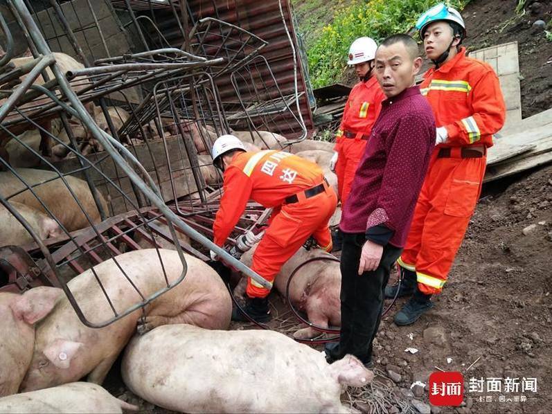 瑜伽性生活Hd