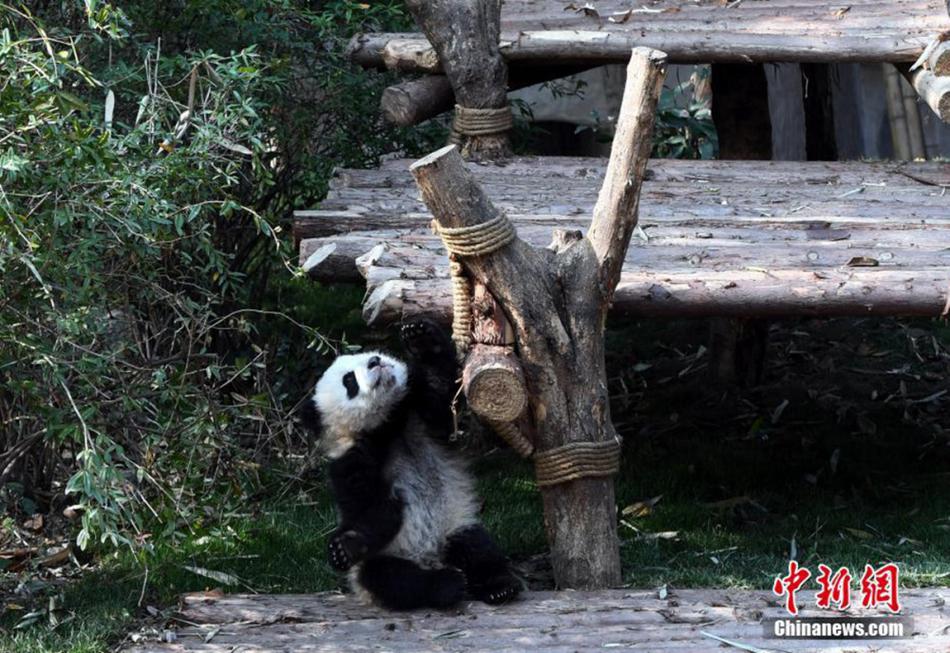 成熟 女人 做爱