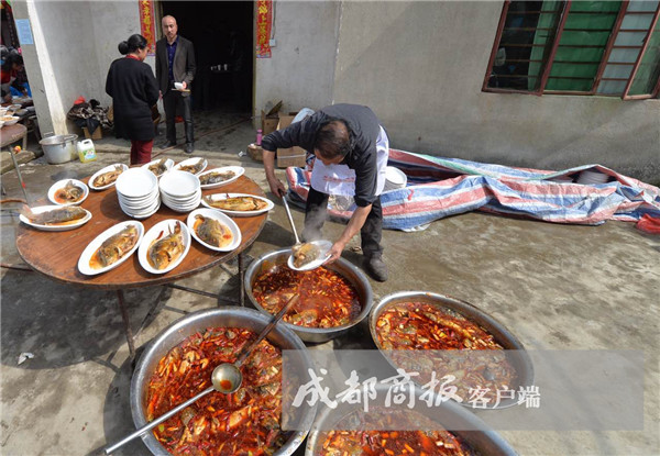 大地资源8在线影视免费观看