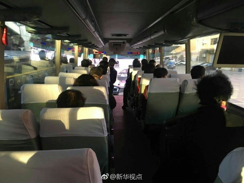 玖玖草
