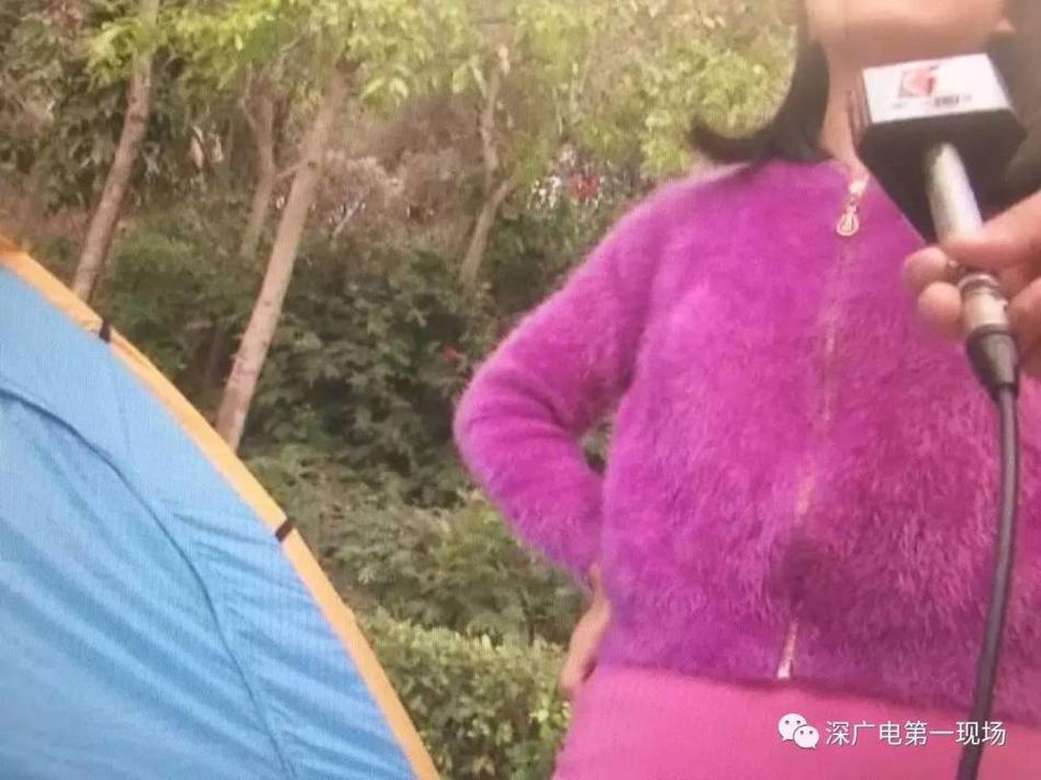 林采緹