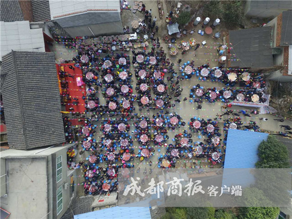 九草在线