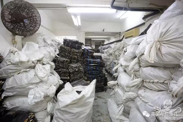 黄色网站色视频免费