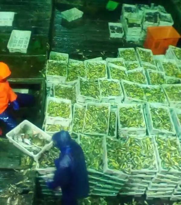 操妈妈色情片