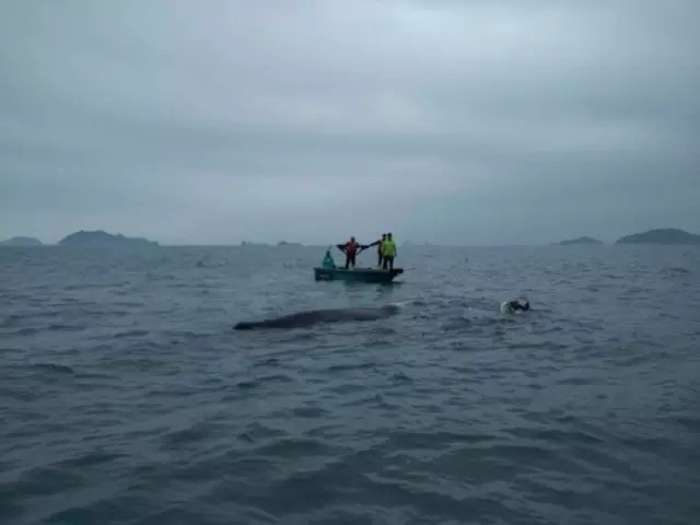 别揉我奶头 啊 嗯h校园体育生