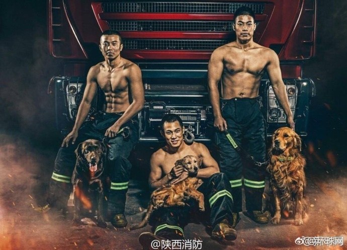 狂野少女高清免费观看第14集