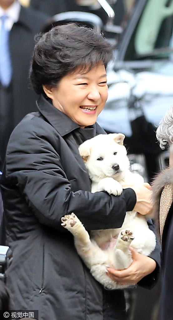 兄妹蕉谈