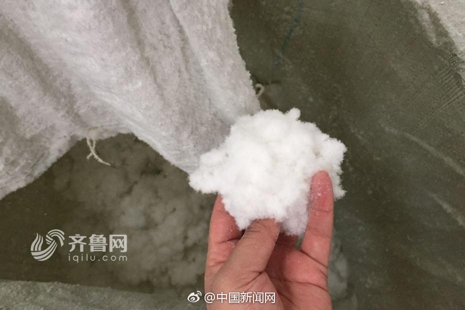 熟女阿 BBW