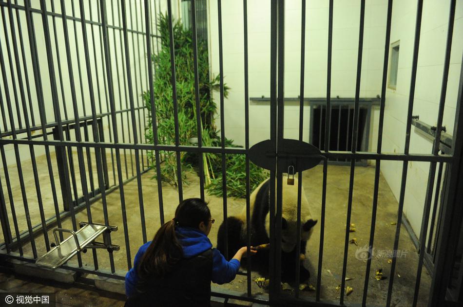 公交车被多人伦 H黄文