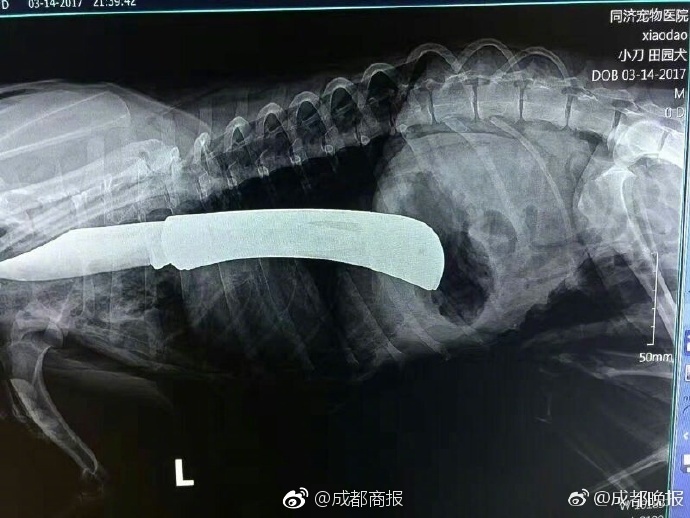 亚洲精品一区二区三区四区五区
