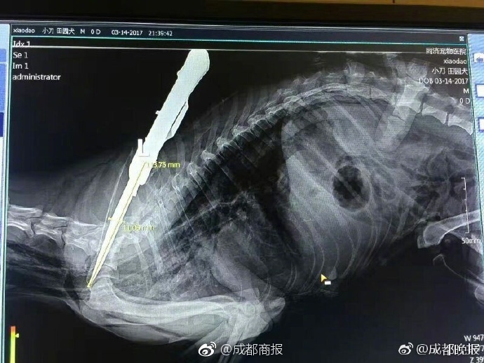 黑料爆料.co 6 2m