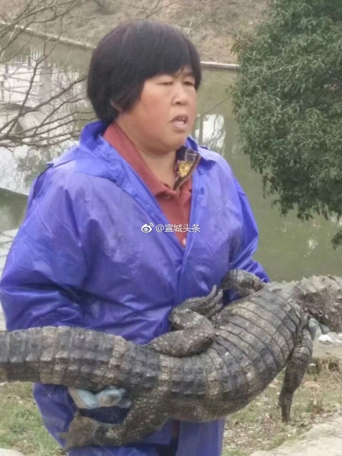 波多野结衣欲求不满的熟女电影