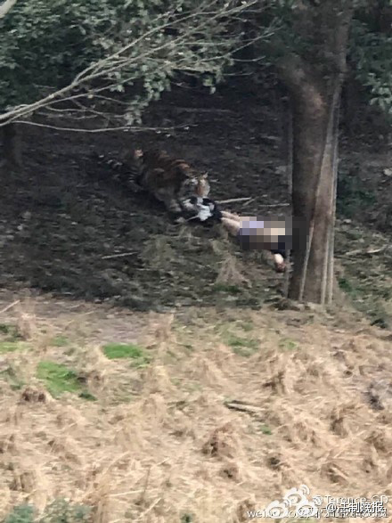 亚洲一区二区免费
