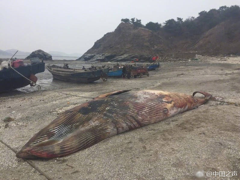 必看SSIS十大巅峰之作