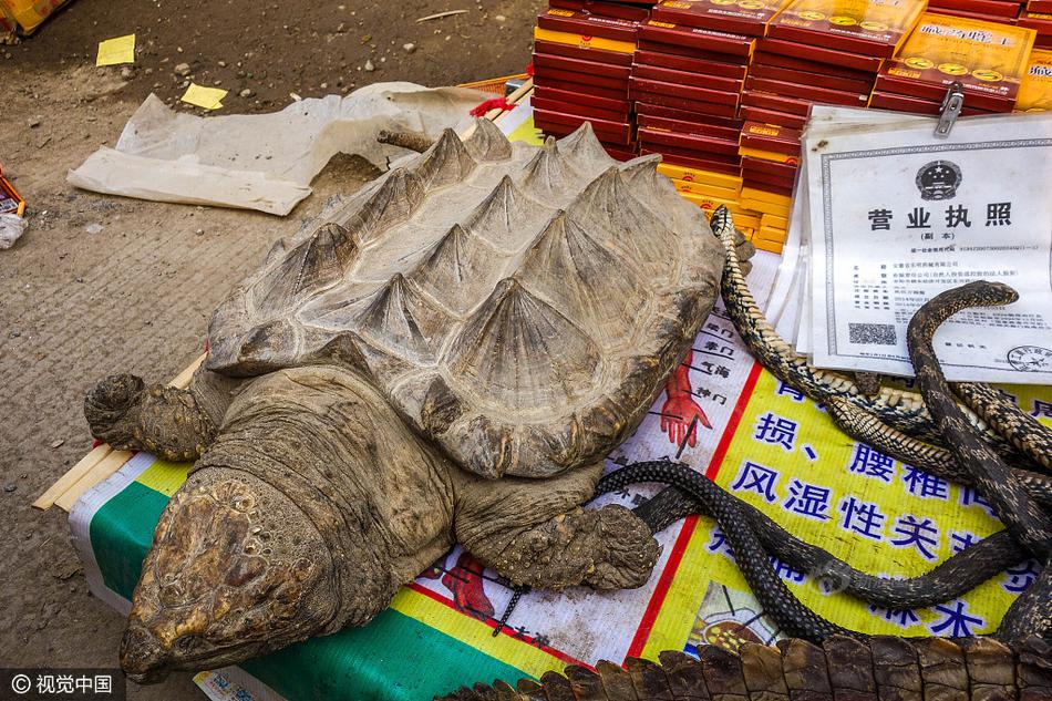 国外 成人 影片