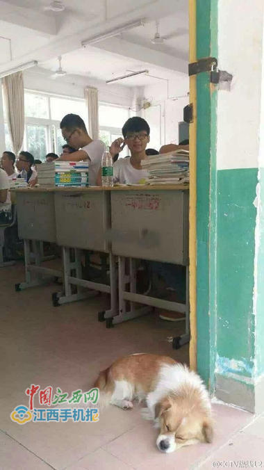 ⅤoyeurWc偷拍