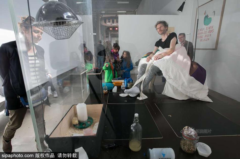 穿戴式陽具