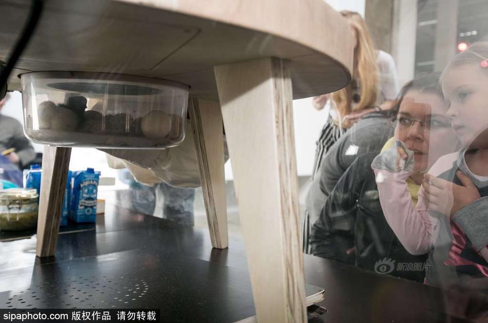 内射中国熟妇