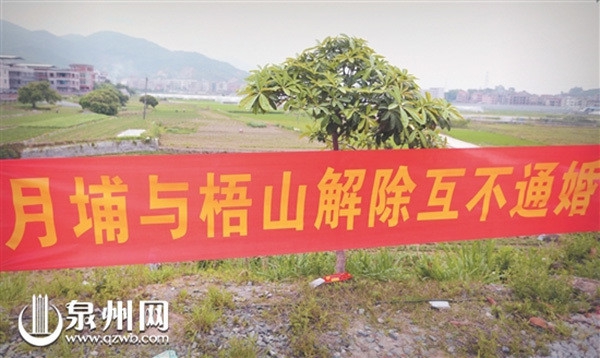殭屍片