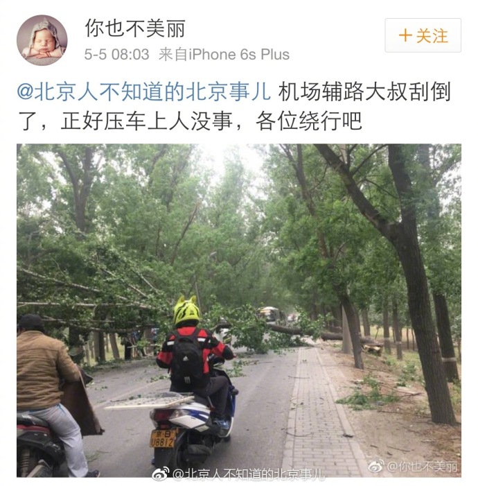 日本 成人 视频 中文 字幕