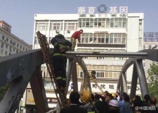 黄色网站可下载版