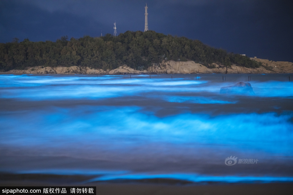朝河蘭