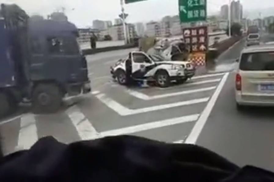 黄色网站免费看无需下载