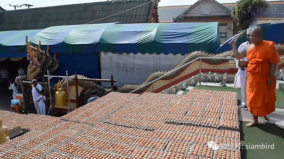 中国一级黄色大片