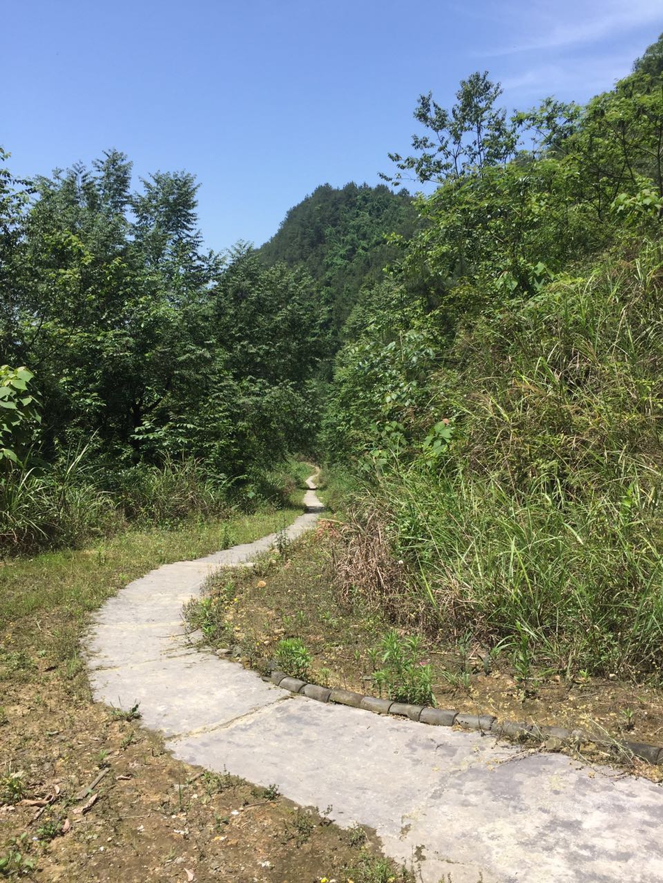 欧美A级网站