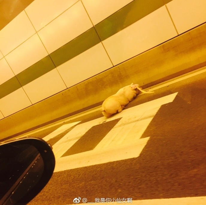 纲手被爆 乳喷自慰爽动漫