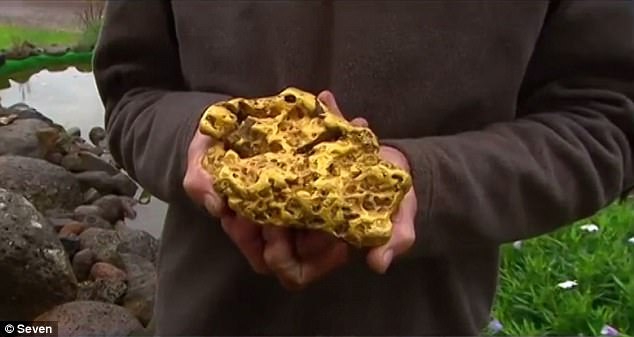 成人 免费 电影 网站