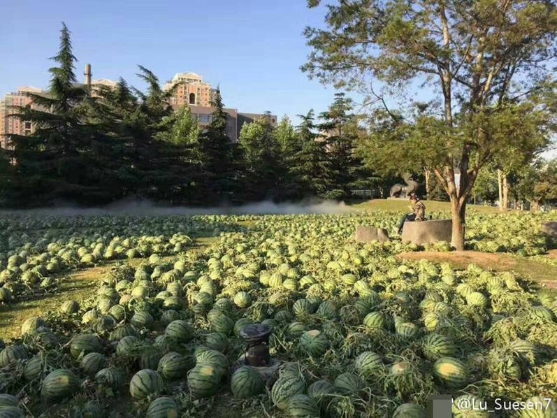 全国黄片免费在线观看