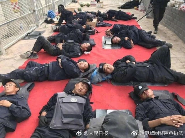 操美女的逼