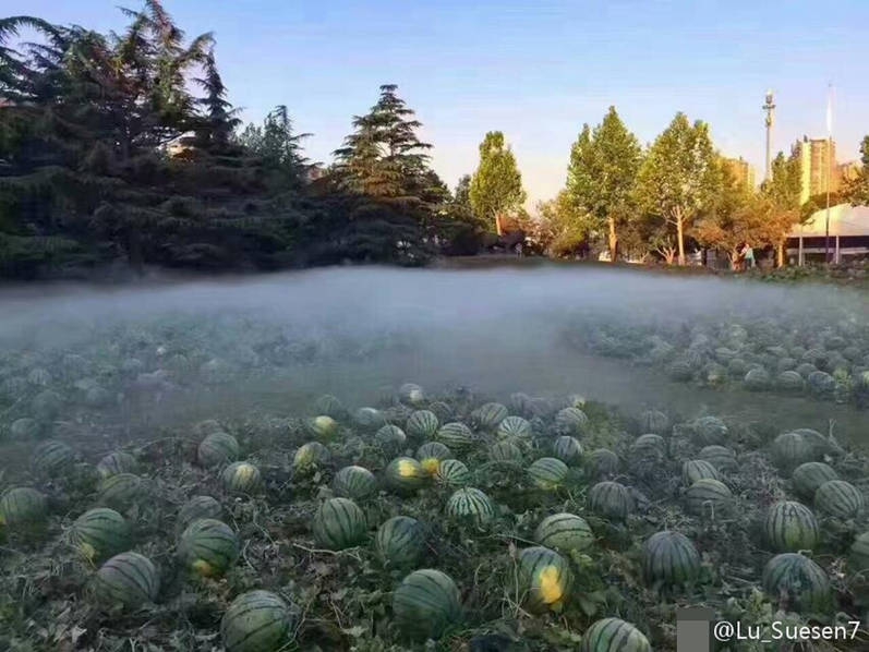王者荣耀女英雄被操