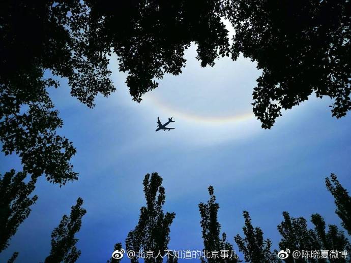 精品无码视频